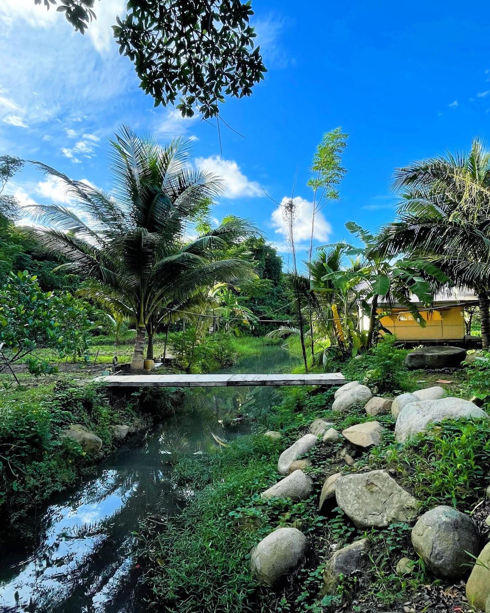 Con Dao Backpacker - Loco Camping Chi Khu Co Ong Exterior photo