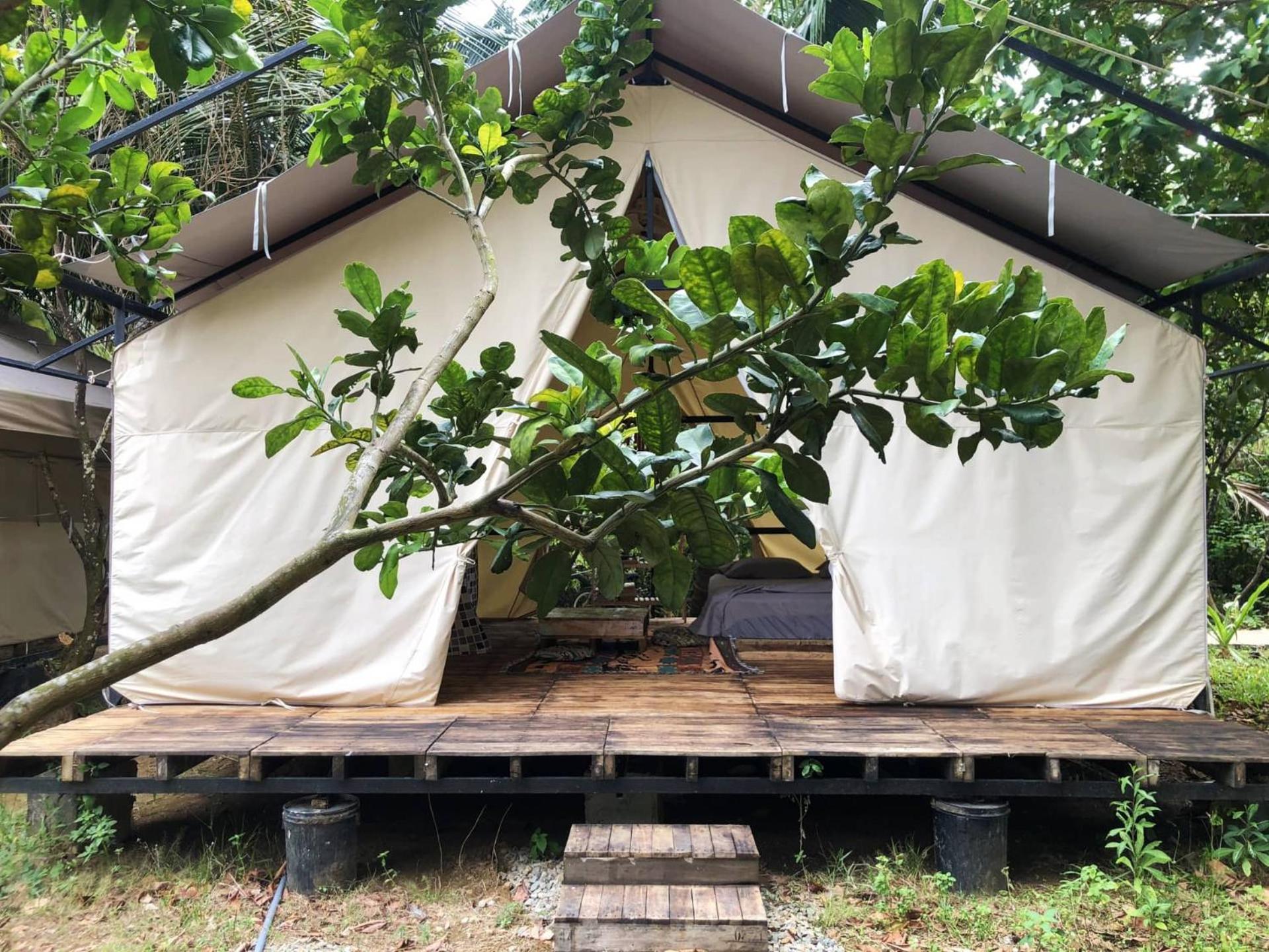Con Dao Backpacker - Loco Camping Chi Khu Co Ong Exterior photo
