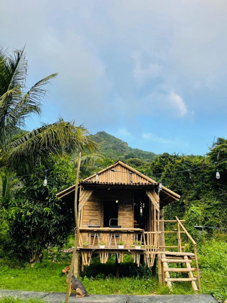 Con Dao Backpacker - Loco Camping Chi Khu Co Ong Exterior photo